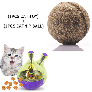 Interactive Cat Toy IQ Treat Ball Smarter Cats