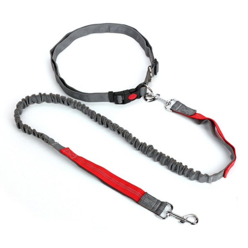 Night Reflective Elastic Nylon Breakaway Leashes Running Hand Free