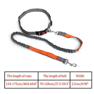 Night Reflective Elastic Nylon Breakaway Leashes Running Hand Free