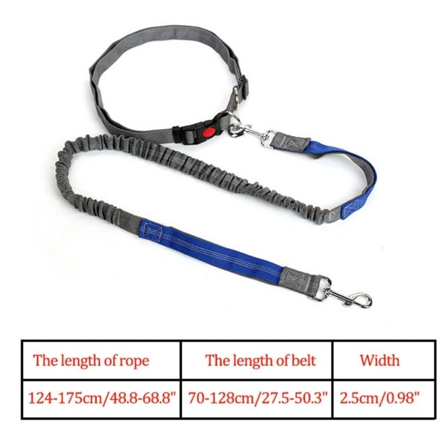 Night Reflective Elastic Nylon Breakaway Leashes Running Hand Free