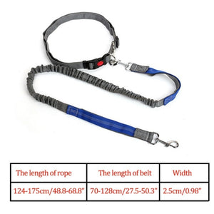 Night Reflective Elastic Nylon Breakaway Leashes Running Hand Free