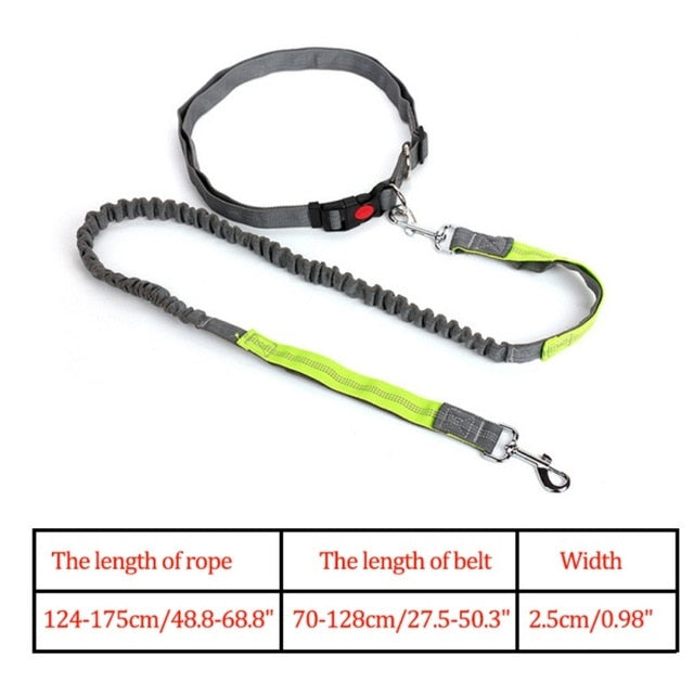 Night Reflective Elastic Nylon Breakaway Leashes Running Hand Free