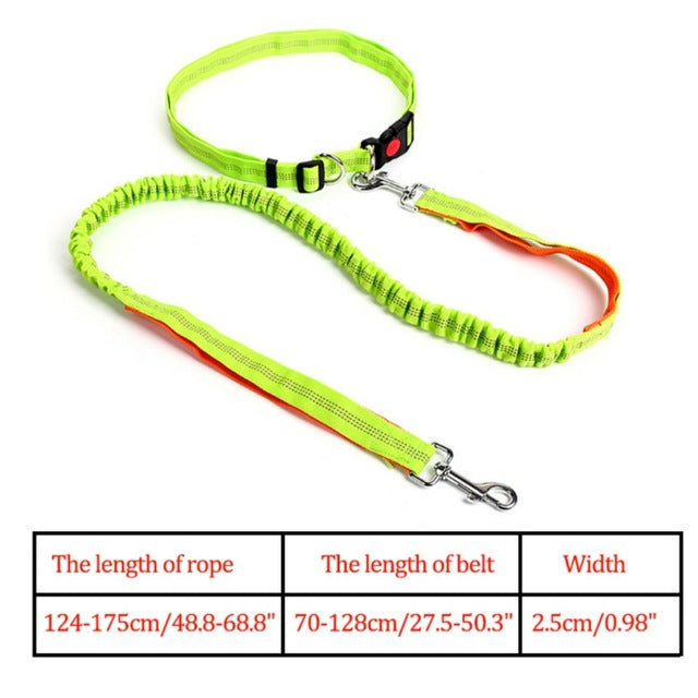 Night Reflective Elastic Nylon Breakaway Leashes Running Hand Free