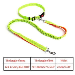 Night Reflective Elastic Nylon Breakaway Leashes Running Hand Free