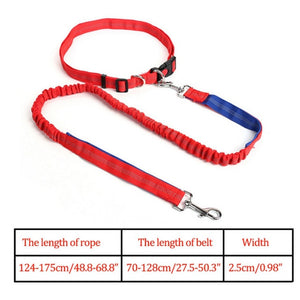 Night Reflective Elastic Nylon Breakaway Leashes Running Hand Free