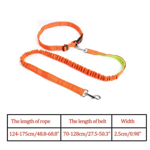 Night Reflective Elastic Nylon Breakaway Leashes Running Hand Free