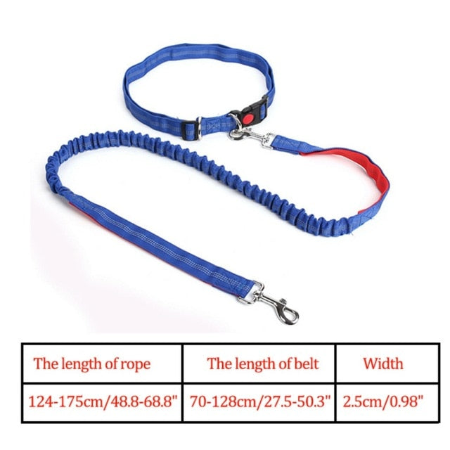 Night Reflective Elastic Nylon Breakaway Leashes Running Hand Free