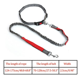 Night Reflective Elastic Nylon Breakaway Leashes Running Hand Free