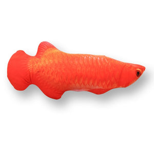 Cat Soft Plush Creative 3D Carp Fish