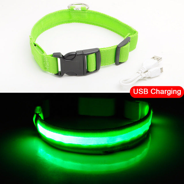 USB Charging Led Dog Collar Anti-Lost/Avoid Car Accident