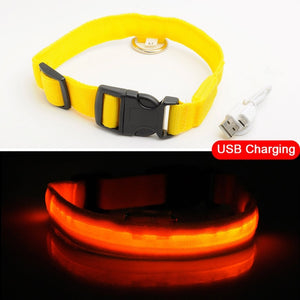 USB Charging Led Dog Collar Anti-Lost/Avoid Car Accident