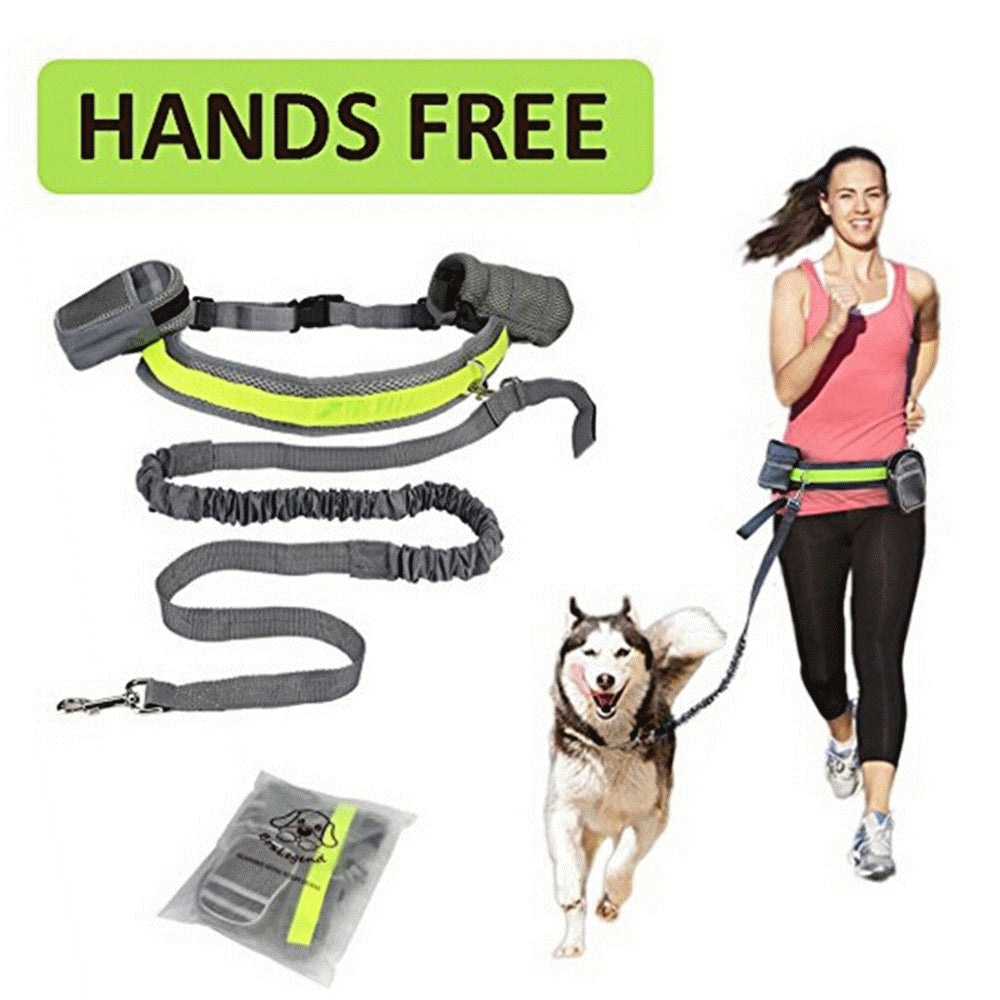 Pet Dog  Running Jogging Strip Elastic Leash Walking Hands Free