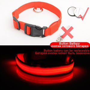 USB Charging Led Dog Collar Anti-Lost/Avoid Car Accident