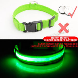 USB Charging Led Dog Collar Anti-Lost/Avoid Car Accident