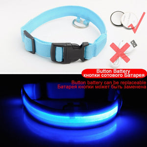 USB Charging Led Dog Collar Anti-Lost/Avoid Car Accident