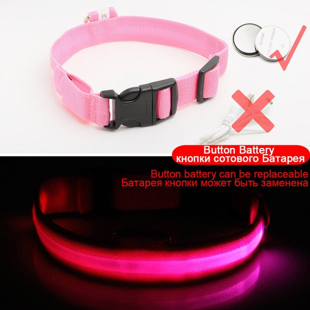 USB Charging Led Dog Collar Anti-Lost/Avoid Car Accident