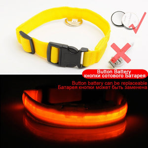 USB Charging Led Dog Collar Anti-Lost/Avoid Car Accident