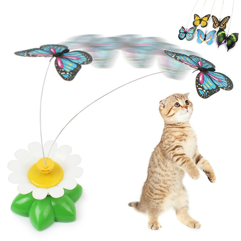 fun little cat cat toy play electric swivel bird